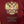Rússia 2016 Kokorin - TAM G